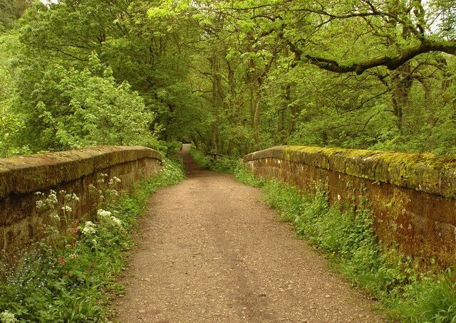Bridge over the Churnet
