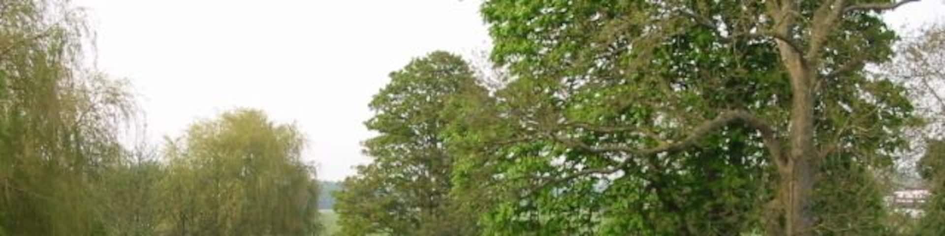 The Great Stour from the bridge on Bridge Street