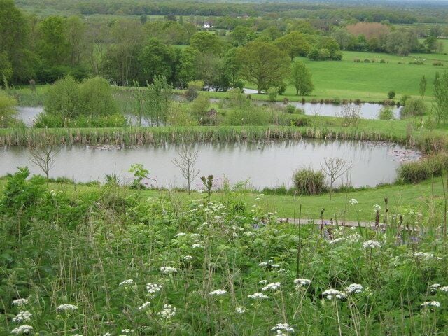 Stone Hill Farm Ponds Stone Hill farm has created several layers of ponds on its terraces, leading down the hill. The Greensand Way (long distance path) leads through Farm.