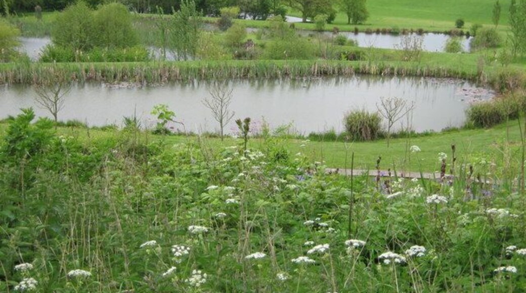 Stone Hill Farm Ponds Stone Hill farm has created several layers of ponds on its terraces, leading down the hill. The Greensand Way (long distance path) leads through Farm.