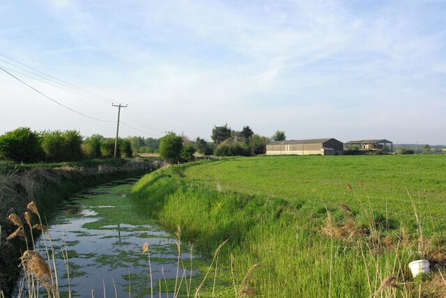 A drain by the lane Looking towards Bridge Farm.