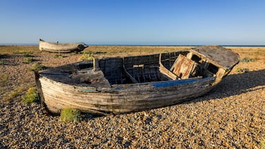 Old wrecked fishing boats on the shingle of Dungeness beach on the Kent coast south east England
