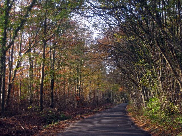 Church Lane Through Orlestone Forest.