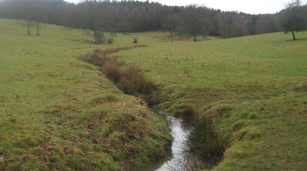 Stream from Apsley Wood As seen from a bridleway leading to Apsley Wood from the B2076 near Elm Farm.