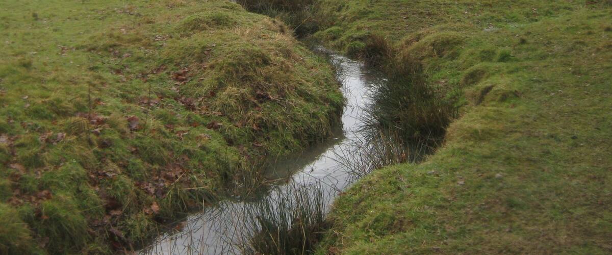 A rural landscape with a small stream, grassy fields, and trees in the background.
