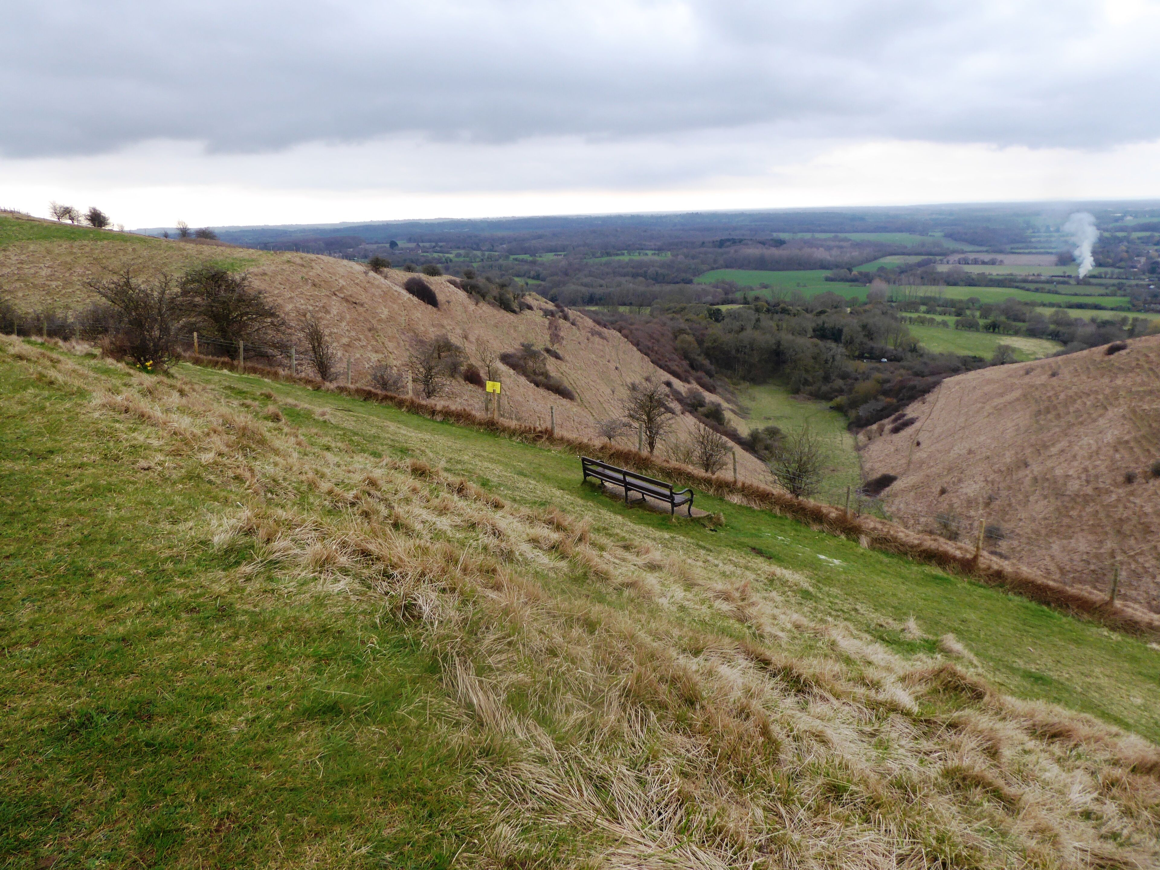 Wye Downs is a National Nature Reserve north-east of Ashford in Kent. It is part of Wye and Crundale Downs Site of Special Scientific Interest.