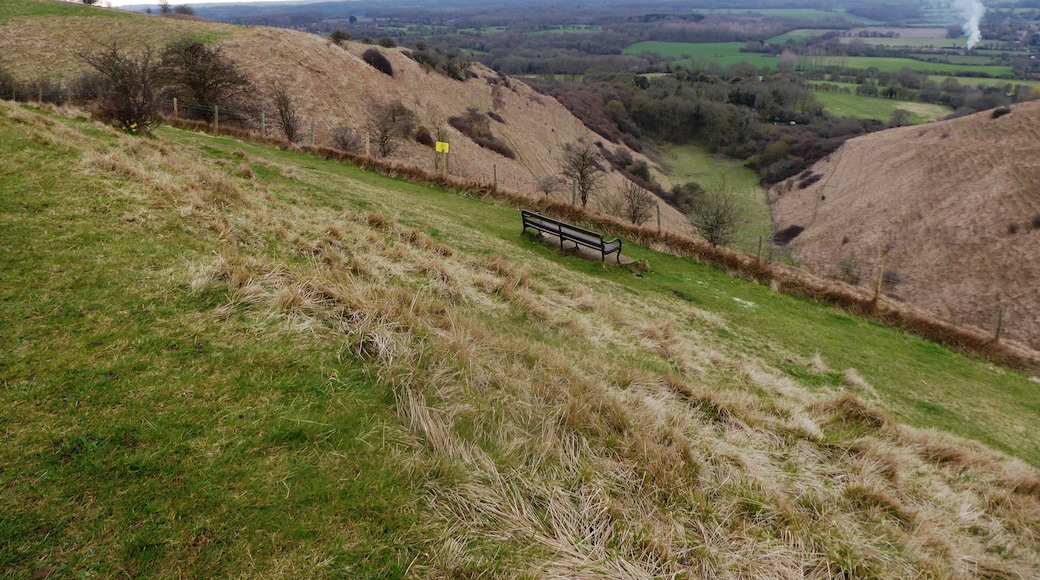 Wye Downs is a National Nature Reserve north-east of Ashford in Kent. It is part of Wye and Crundale Downs Site of Special Scientific Interest.