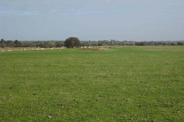 Field near Blackman's Arm Open land near Appledore, looking towards Kenardington.