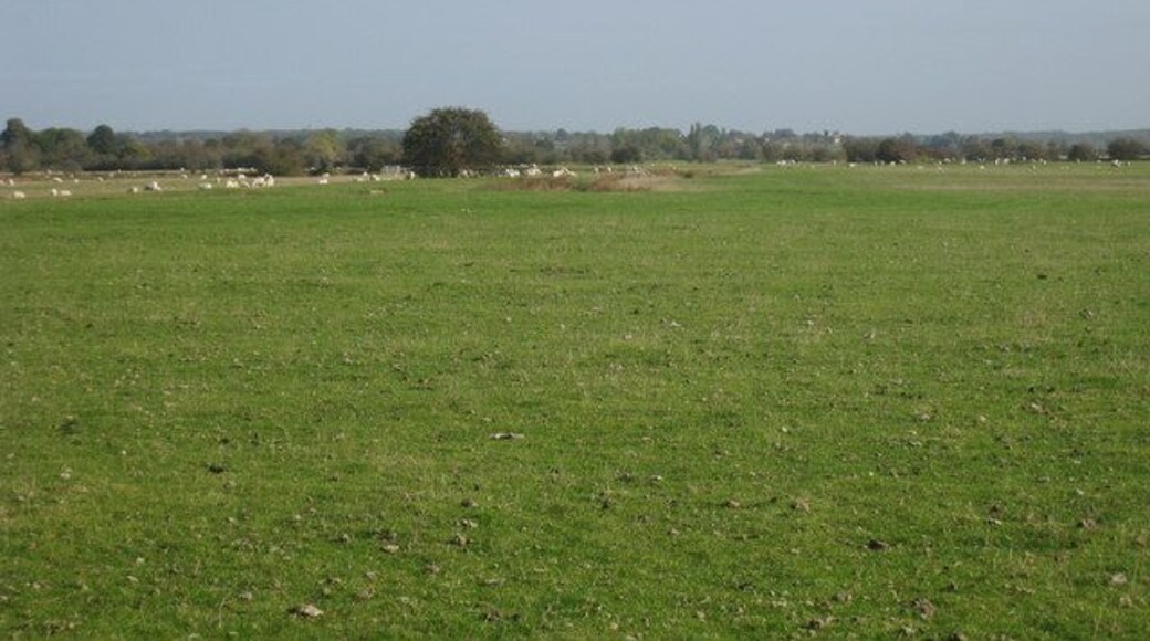Field near Blackman's Arm Open land near Appledore, looking towards Kenardington.
