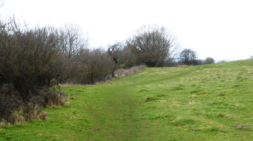Wye Downs is a National Nature Reserve north-east of Ashford in Kent. It is part of Wye and Crundale Downs Site of Special Scientific Interest.