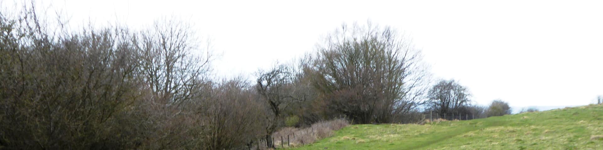 Wye Downs is a National Nature Reserve north-east of Ashford in Kent. It is part of Wye and Crundale Downs Site of Special Scientific Interest.