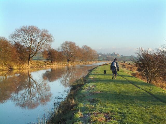 The Military Canal in Winter. The Military canal looking towards Warehorne Church in the distance