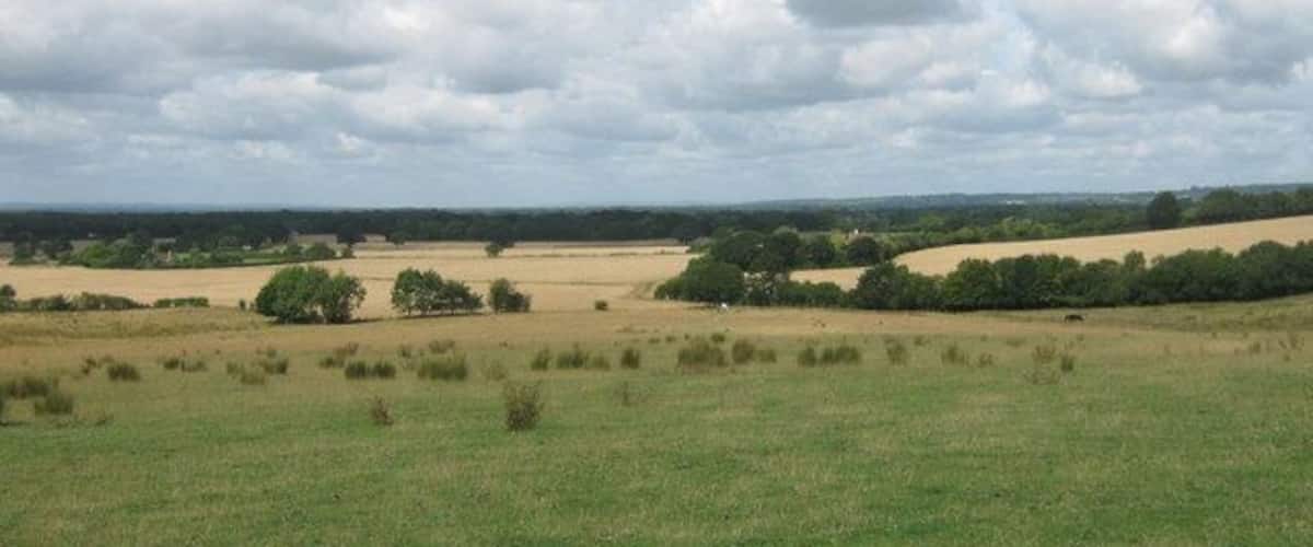 A rural landscape with rolling hills, scattered trees, and a cloudy sky.