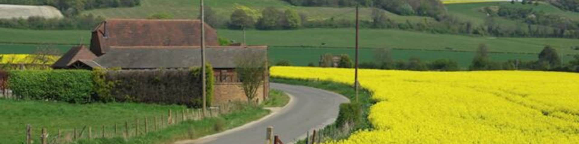 Great Hook The backdrop is the scarp of the North Downs.