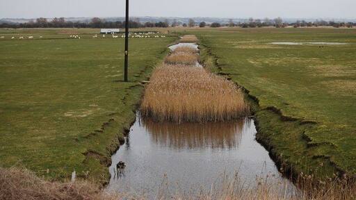 Drainage Channel by the B2080