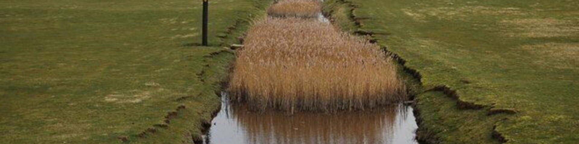 A flooded field with a drainage ditch and a power line.