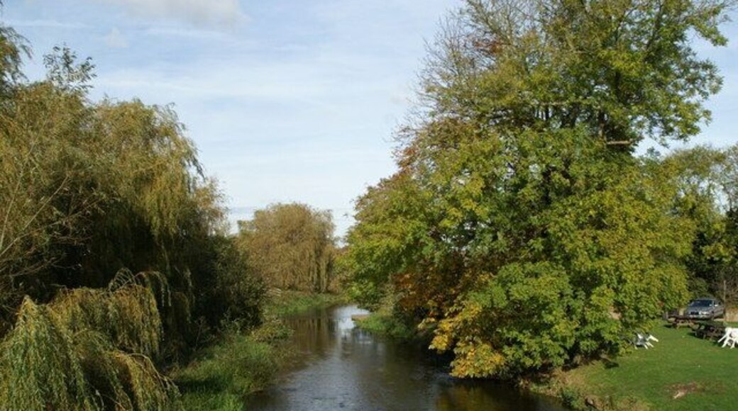 Eastwards up the Great Stour from Wye Bridge