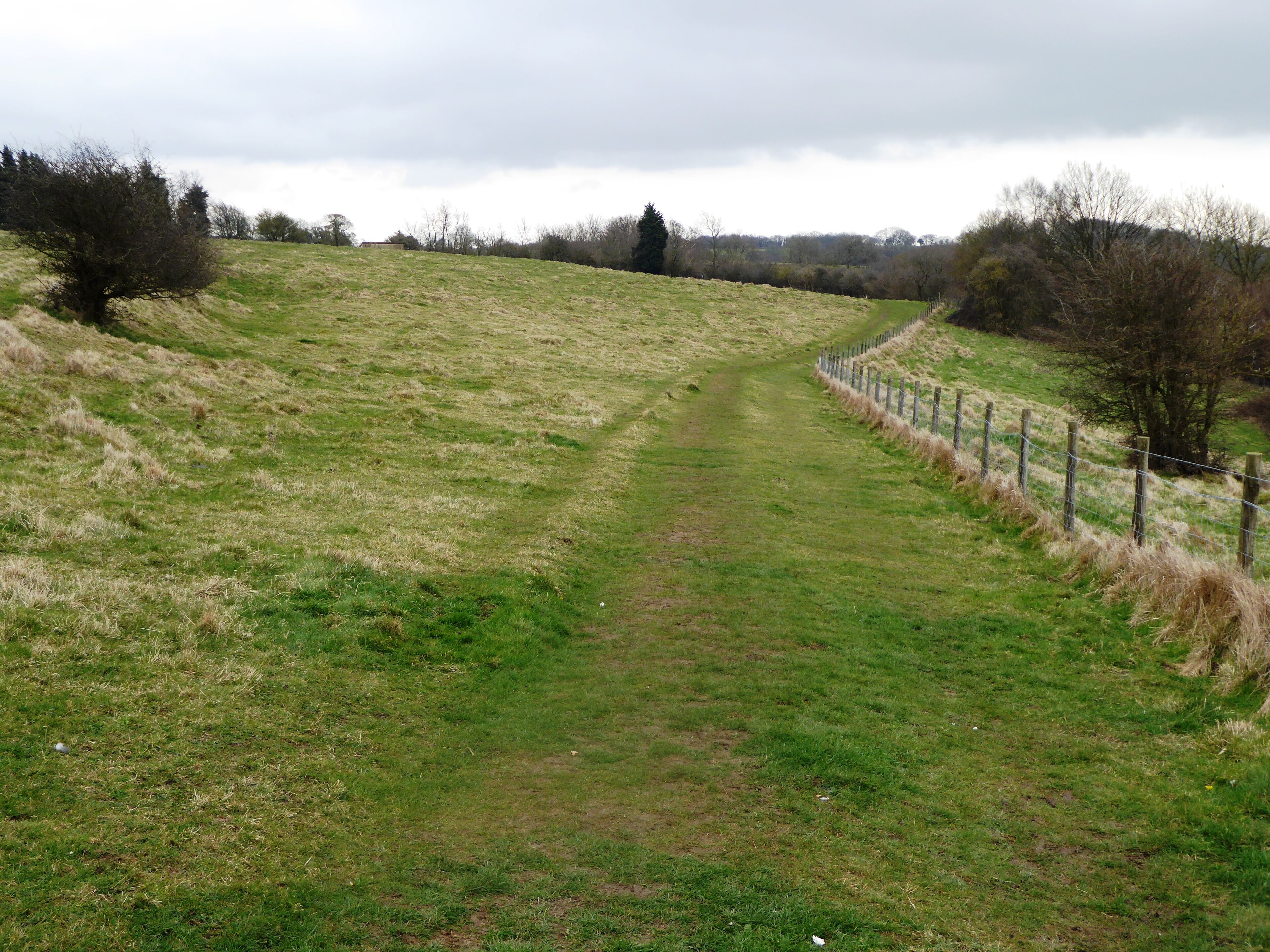 Wye Downs is a National Nature Reserve north-east of Ashford in Kent. It is part of Wye and Crundale Downs Site of Special Scientific Interest.