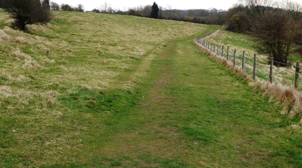 Wye Downs is a National Nature Reserve north-east of Ashford in Kent. It is part of Wye and Crundale Downs Site of Special Scientific Interest.