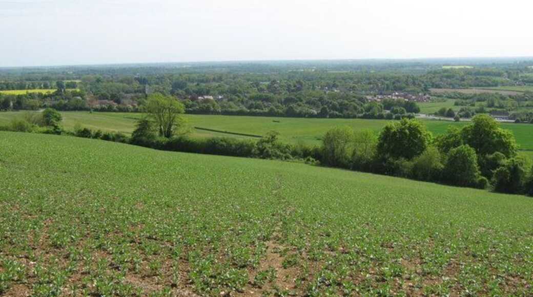 View of Charing from Cole Wood This village is close to the North Downs Way. It is seen from a path leading uphill to Hart Hill road.
