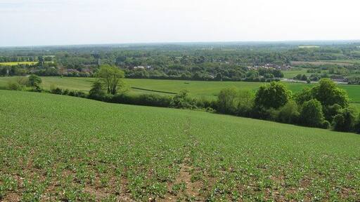 View of Charing from Cole Wood This village is close to the North Downs Way. It is seen from a path leading uphill to Hart Hill road.