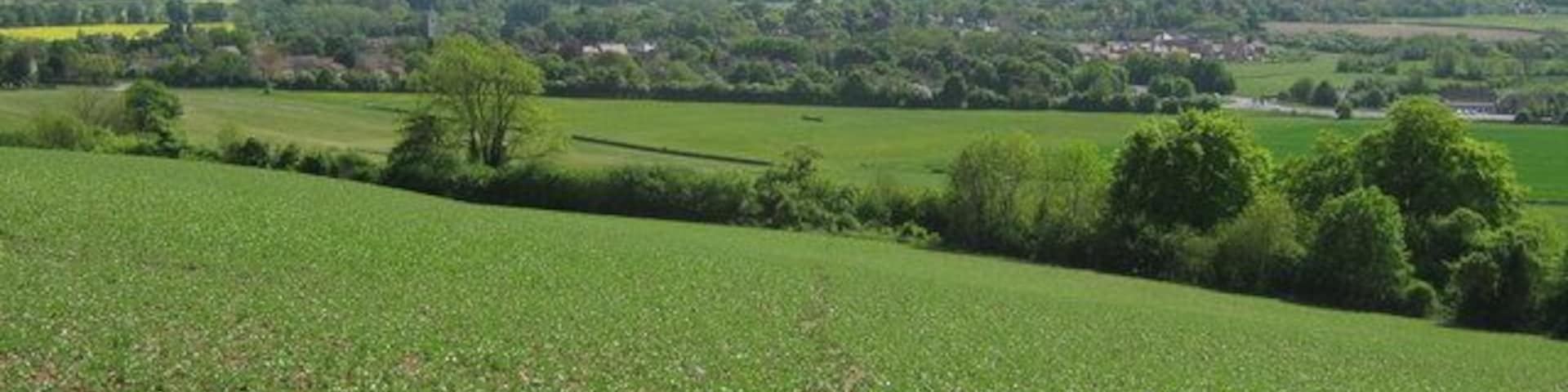 View of Charing from Cole Wood This village is close to the North Downs Way. It is seen from a path leading uphill to Hart Hill road.