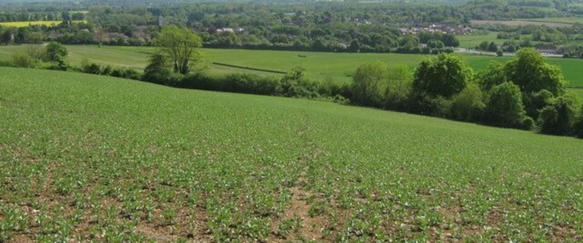 A vast agricultural field with rolling hills, a distant tree line, and a small settlement in the background.