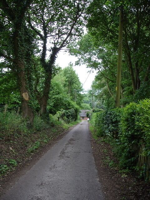 Narrow wooded lane. Looking south east down the lane from Lilyvale