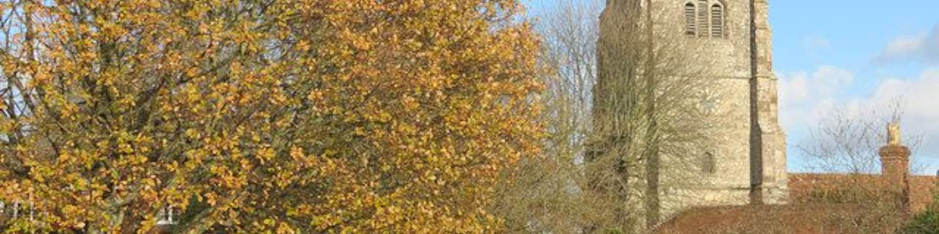 A green beside The Street, Egerton, Kent, looking northeast to the tower of St James' parish church