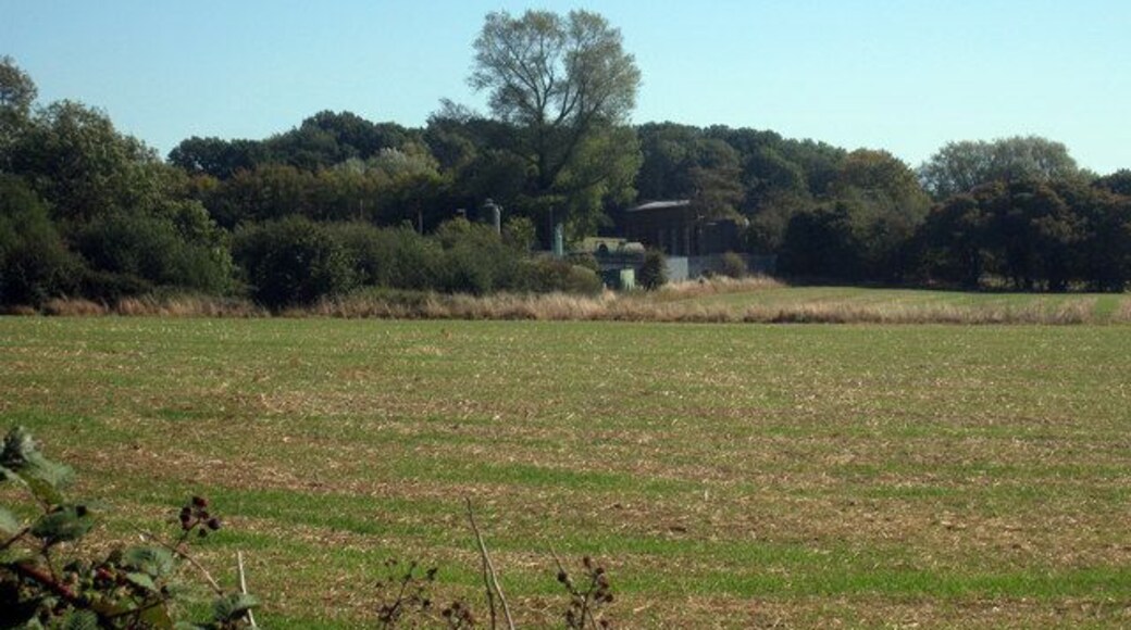 Fields towards Electrical Sub-station Viewed from Charing Heath Road.
