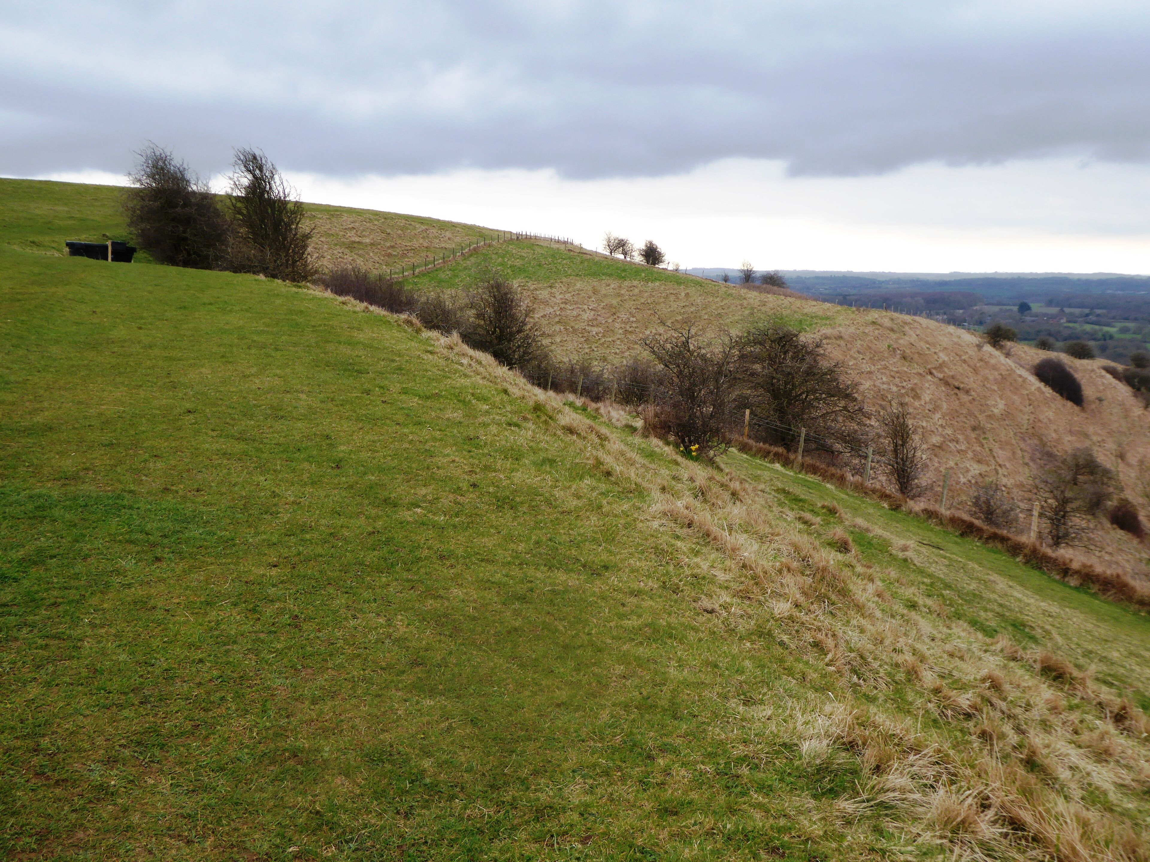 Wye Downs is a National Nature Reserve north-east of Ashford in Kent. It is part of Wye and Crundale Downs Site of Special Scientific Interest.