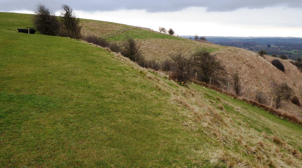 Wye Downs is a National Nature Reserve north-east of Ashford in Kent. It is part of Wye and Crundale Downs Site of Special Scientific Interest.