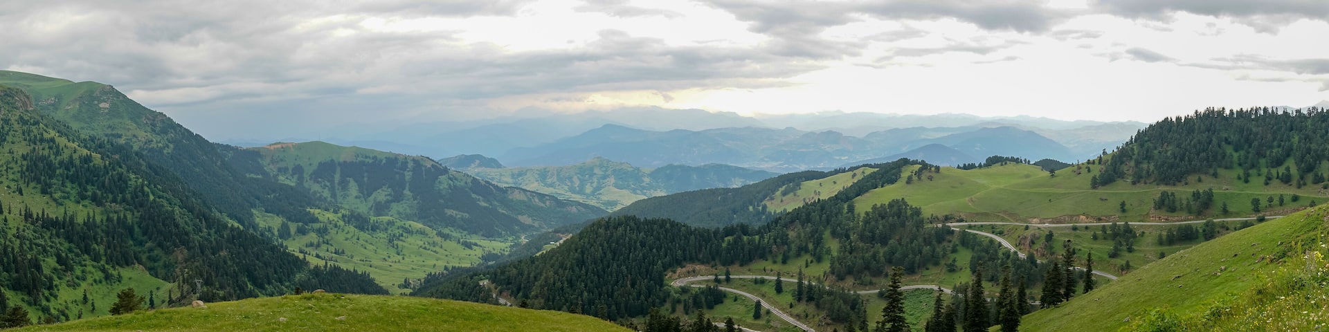 Beautiful green nature landscape of trees and forests in rural areas of Blacksea region, Artvin, Turkey