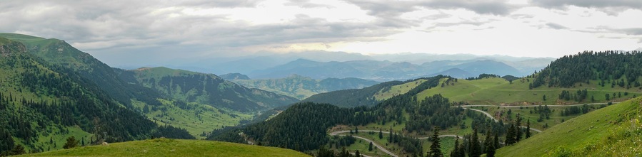Beautiful green nature landscape of trees and forests in rural areas of Blacksea region, Artvin, Turkey