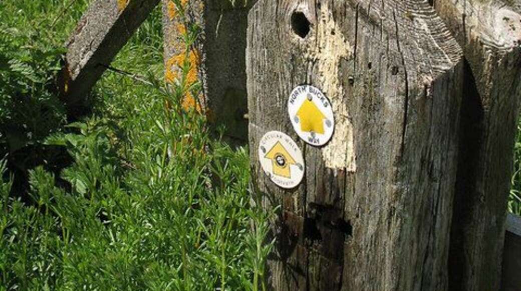 Marker and Fence Posts. A marker post on Ellesborough and Kimble circular walk at the footcrossing of the Princes Risborough to Aylesbury railway line. The adjacent concrete fence post has a healthy growth of yellow lichen. The crop in the field behind is wheat.