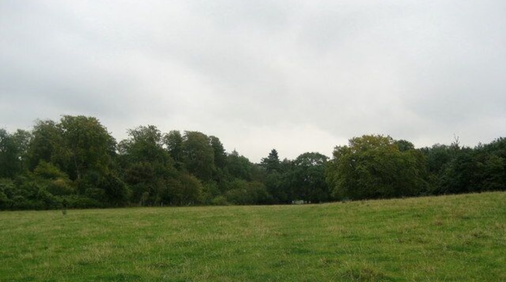 Ridgeway below Pulpit Hill Mixed Pasture and Woodland which the Ridgeway passes through between Chequers Knap and the Chequers Estate.
