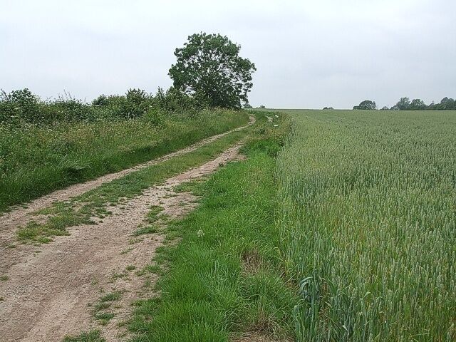 Looking back along the track from Hardwick Following the track eastwards out of Hardwick after about 1.5 km (just < 1 mile) it changes course dramatically heading then southwards. This photo is taken just before that turn looking westwards back along the track in the direction of Hardwick.