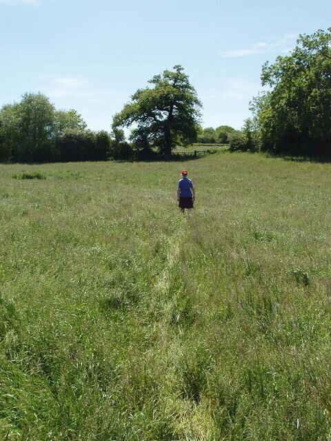 Footpath through long grass, Piddington. The grass is ready for mowing.