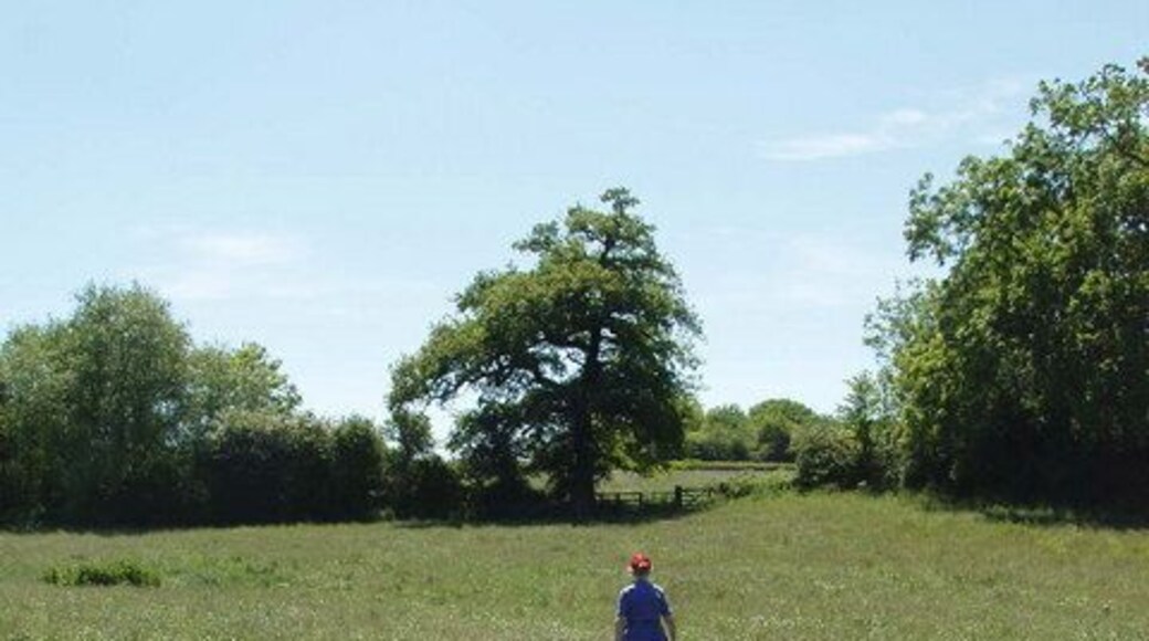 Footpath through long grass, Piddington. The grass is ready for mowing.