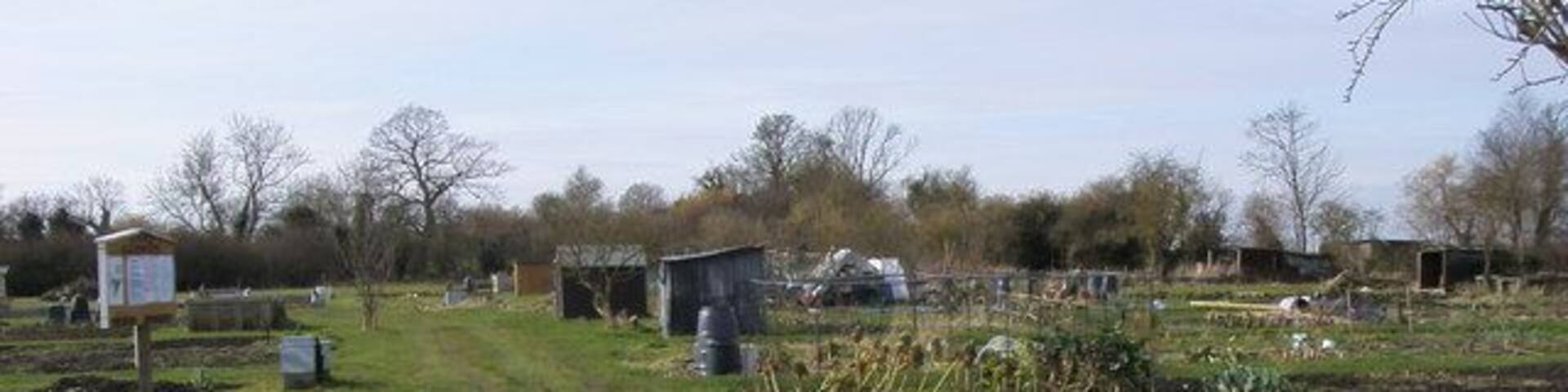 Kimble Allotments Kimble Allotments on Marsh Road Little Kimble