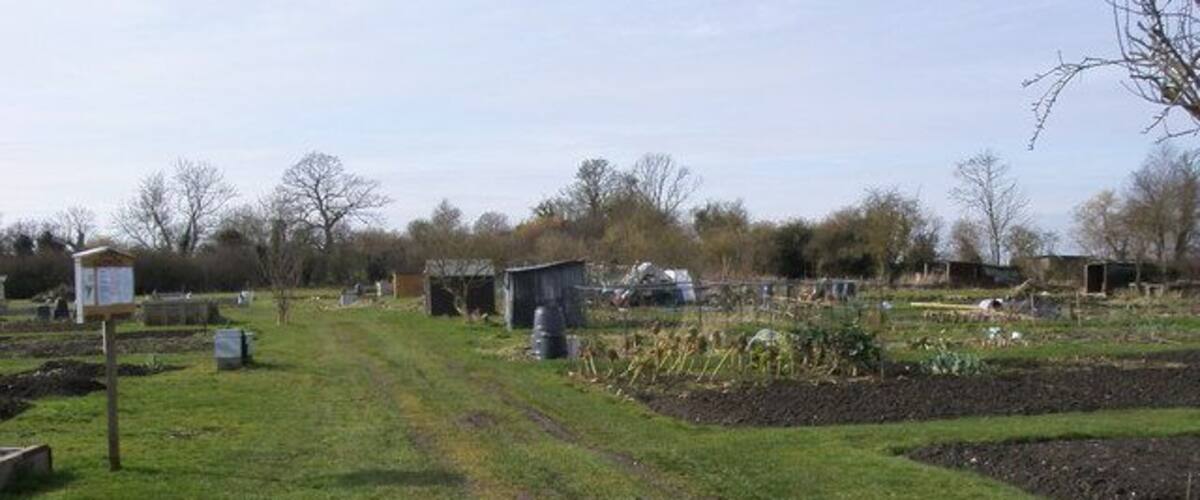 A rural landscape with a dirt path, green fields, and farm buildings.