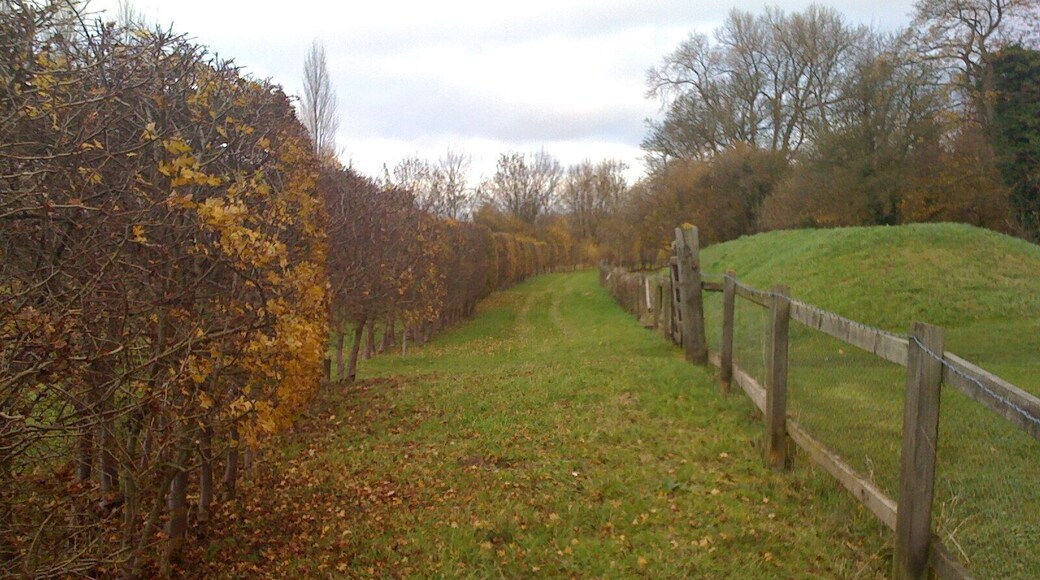 Path to the train line