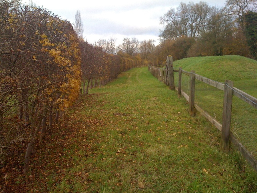Path to the train line