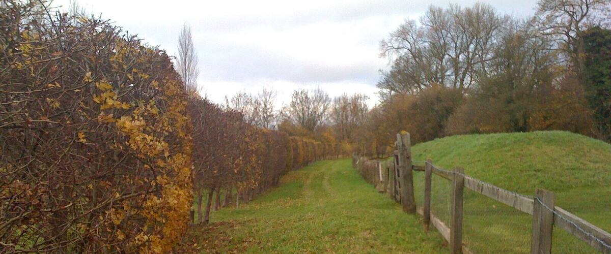 A rural path with a wooden fence, surrounded by trees with autumn leaves.