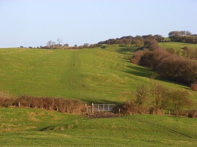 Pastures above Quainton Looking north along Simber Hill and the ridge continuing to the top of Quainton Hill. The mast there is just out of picture to the right.