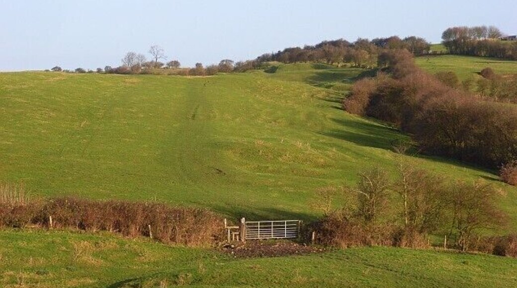 Pastures above Quainton Looking north along Simber Hill and the ridge continuing to the top of Quainton Hill. The mast there is just out of picture to the right.