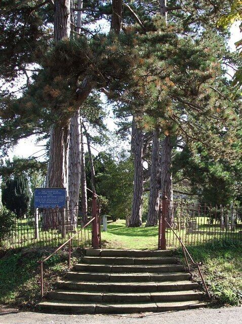 Steps to St. John the Baptist, Stone. The church of St.John the Baptist in Stone south of Aylesbury, is set in a beautiful churchyard. These curved steps lead up to a grass pathway between towering pines through the churchyard.