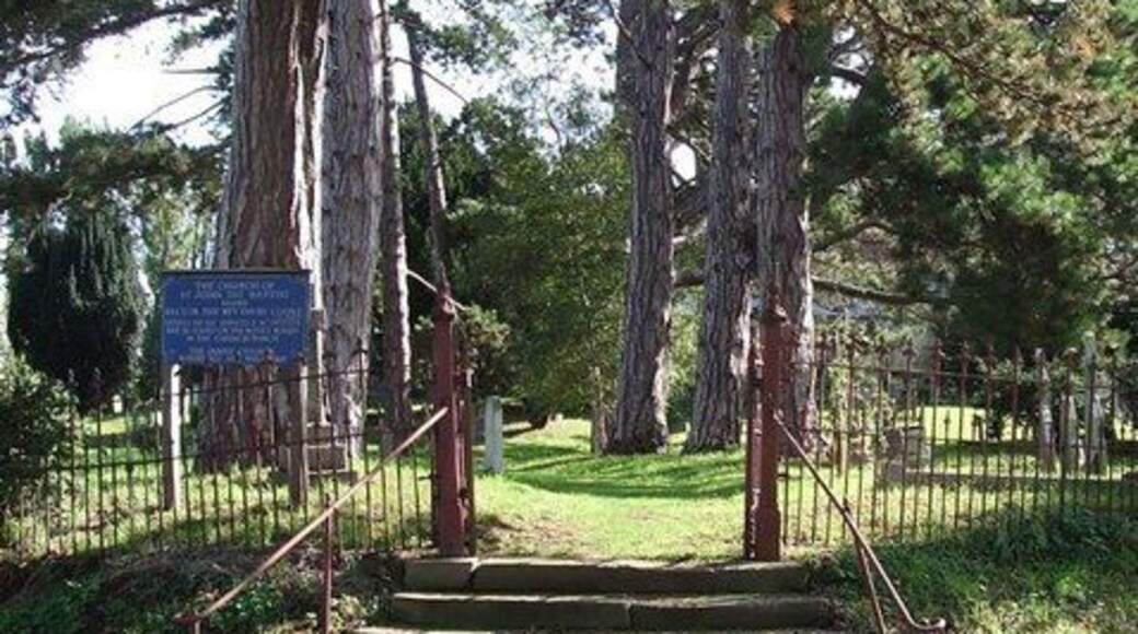 Steps to St. John the Baptist, Stone. The church of St.John the Baptist in Stone south of Aylesbury, is set in a beautiful churchyard. These curved steps lead up to a grass pathway between towering pines through the churchyard.