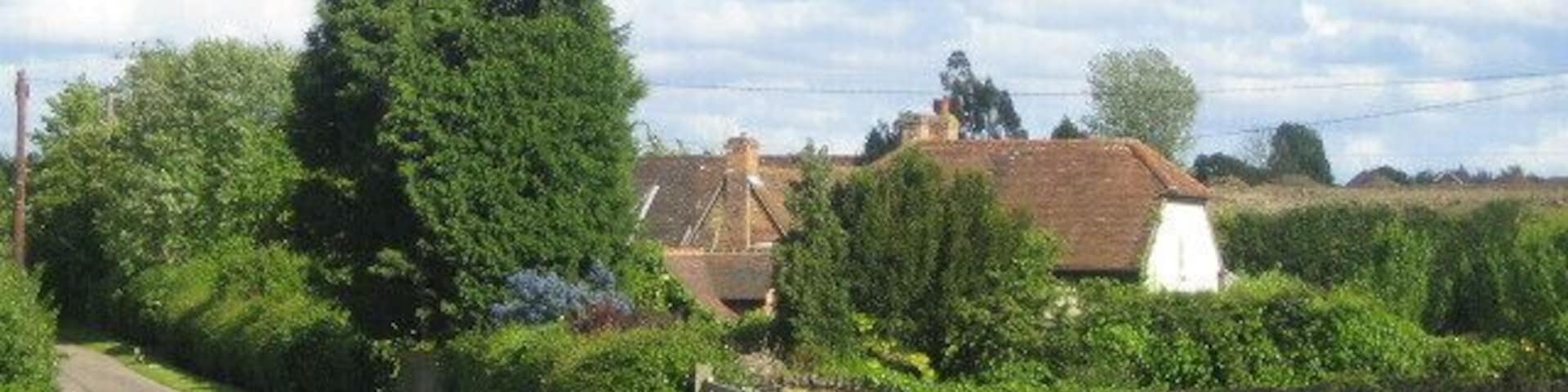 Houses, Eythrope Road These houses are on the edge of the village of Stone from where the road is coming. At this point, behind the camera, the road becomes a private road to Eythrope Park though it is a bridleway and is on the route of the Midshire's Way and Swan's Way.