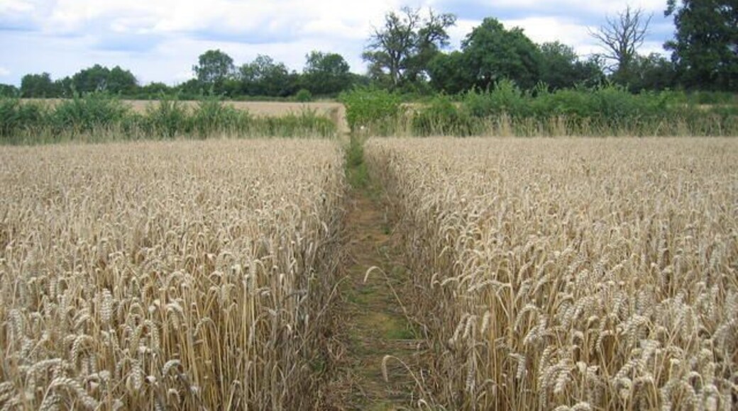 Footpath from Swerford.